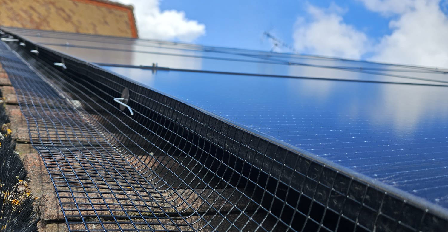 Protecting Solar Panels From Pigeons in Leicester