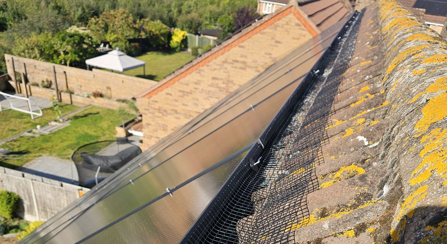 Protecting+Solar+Panels+From+Pigeons+in+Leicester
