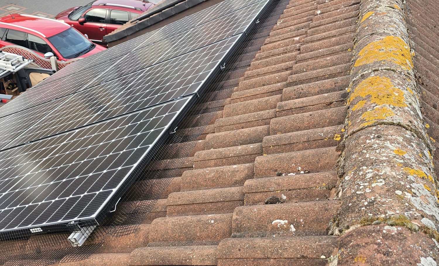 Protecting Solar Panels From Pigeons in Leicester