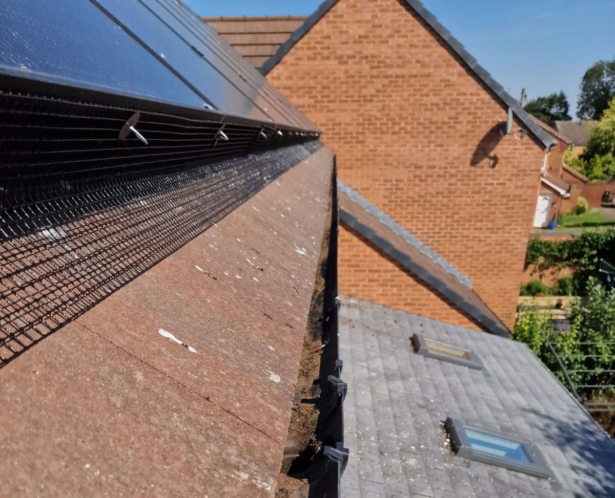 Long Eaton Pigeon Proofing Solar Panels