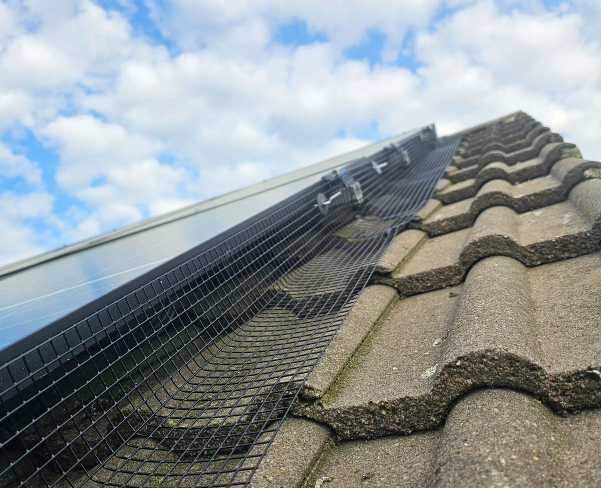 Preventing Pigeons From Nesting Under Solar Panels in Mansfield
