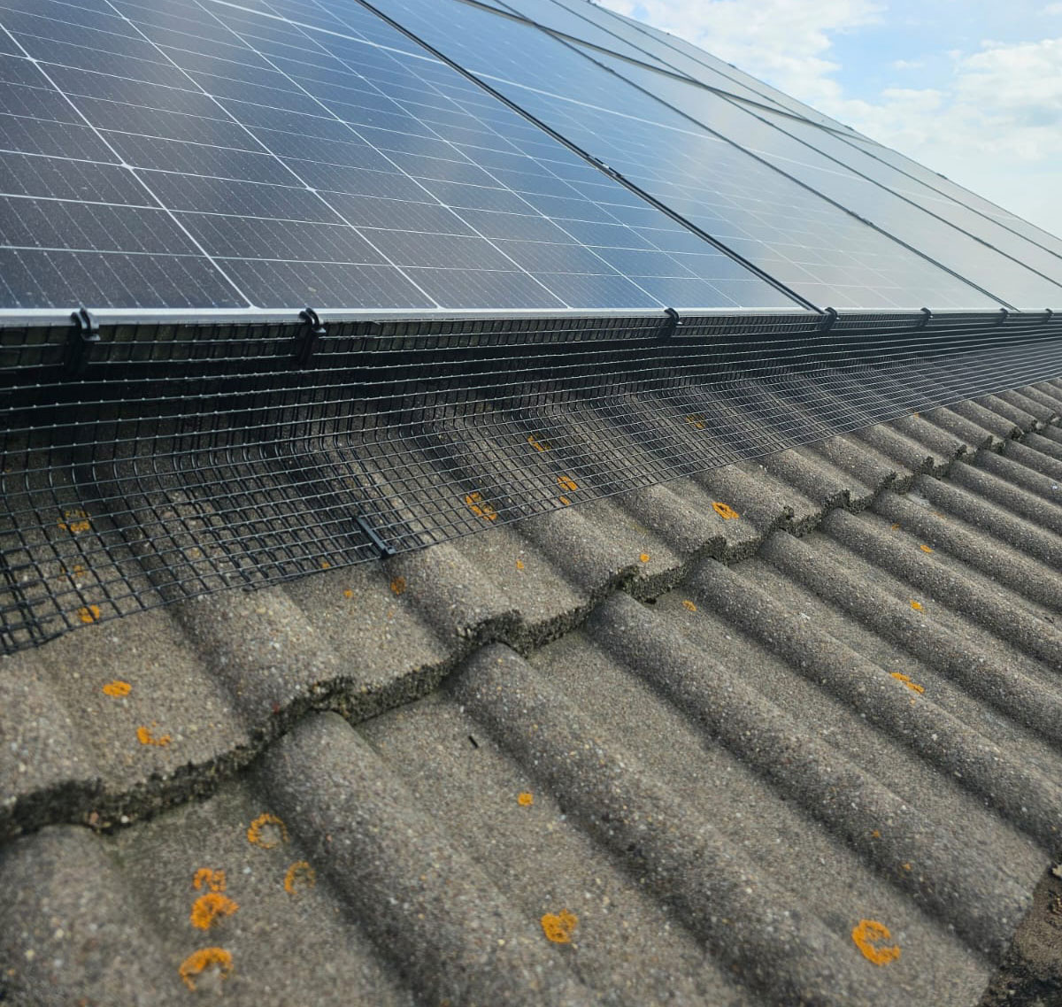 Preventing+Pigeons+From+Nesting+Under+Solar+Panels+in+Mansfield