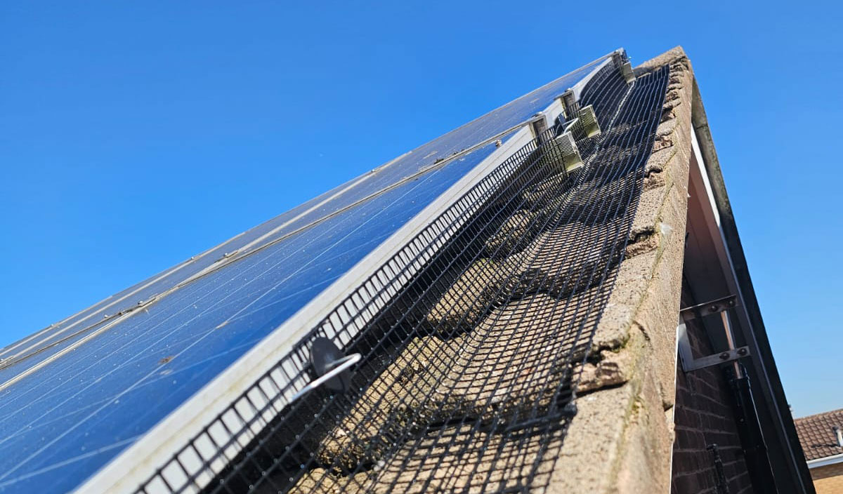 Pigeon Proofing Solar Panels in Mickleover