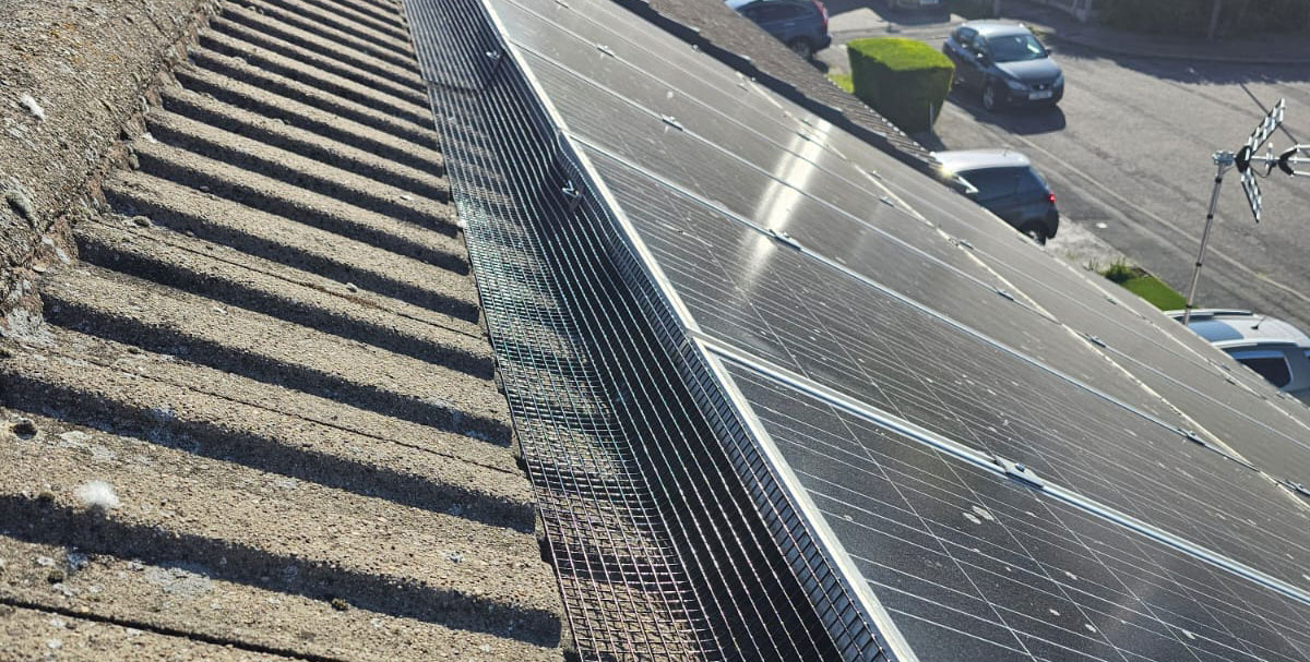 Pigeon+Proofing+Solar+Panels+in+Mickleover
