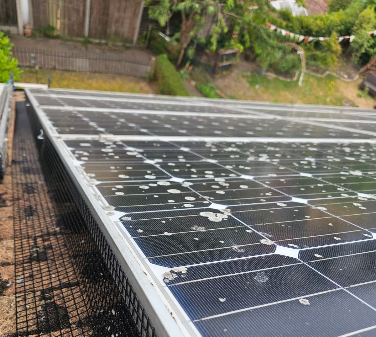 Pigeon Proofing Solar Panels in Sherwood, Nottingham