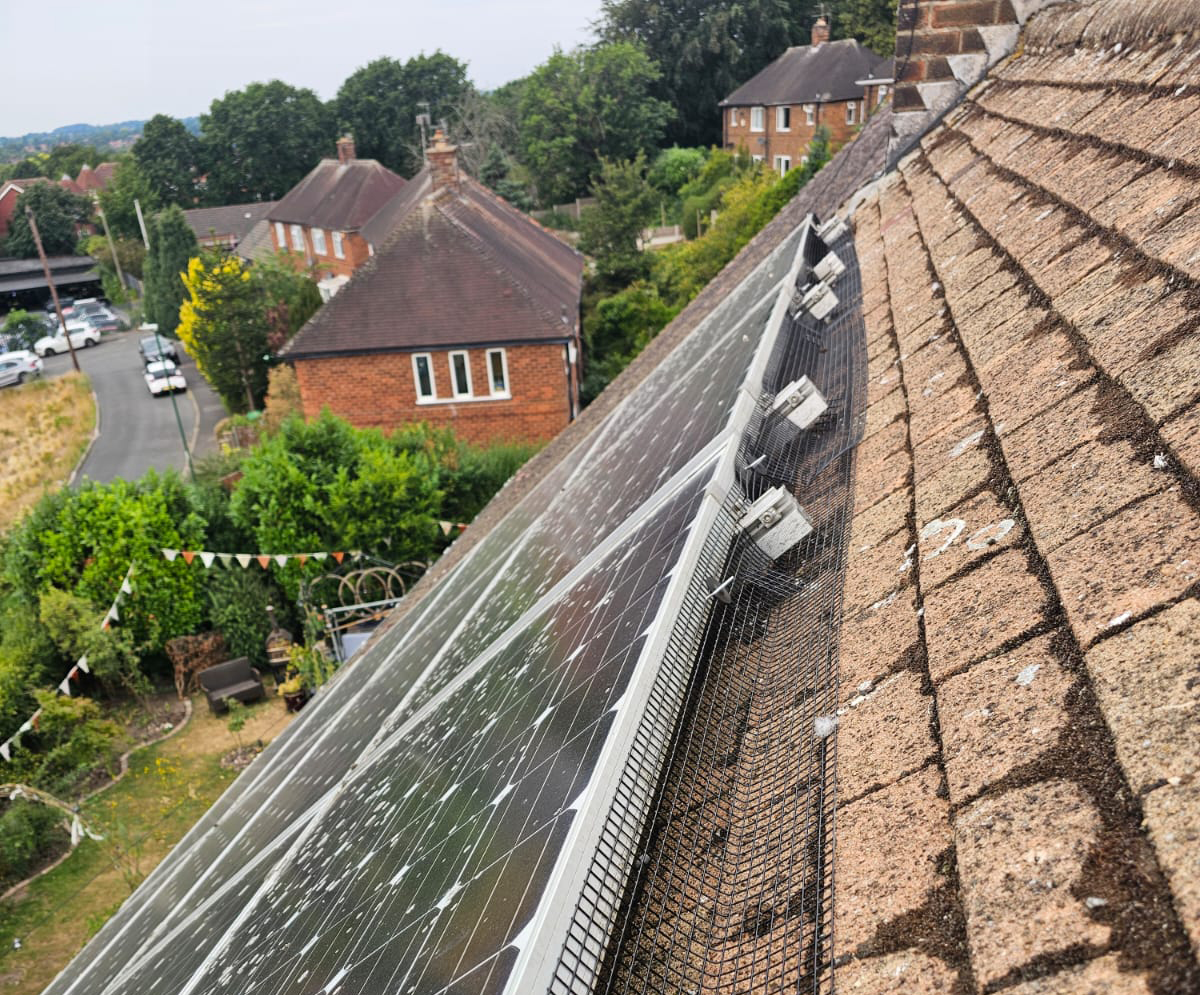 Pigeon+Proofing+Solar+Panels+in+Sherwood%2C+Nottingham