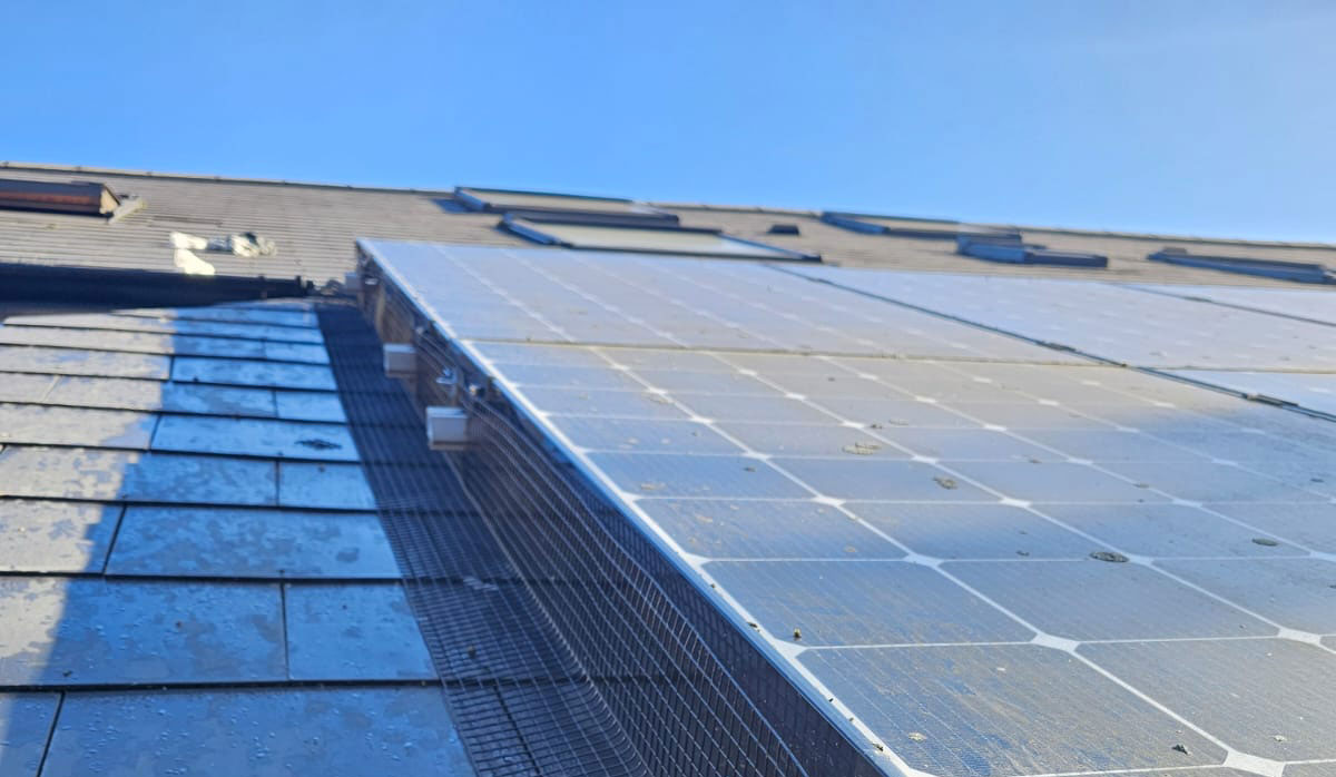 Pigeon Proofing Solar Panels in Nottingham City Centre