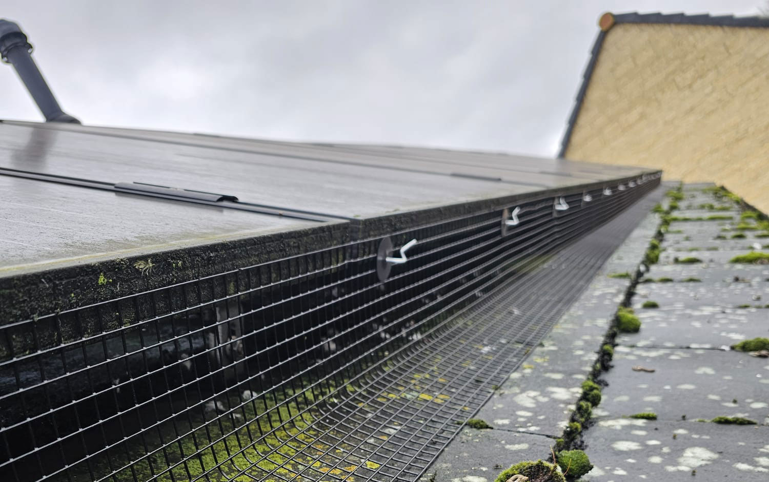 Protecting Solar Panels From Pigeons in Oakham