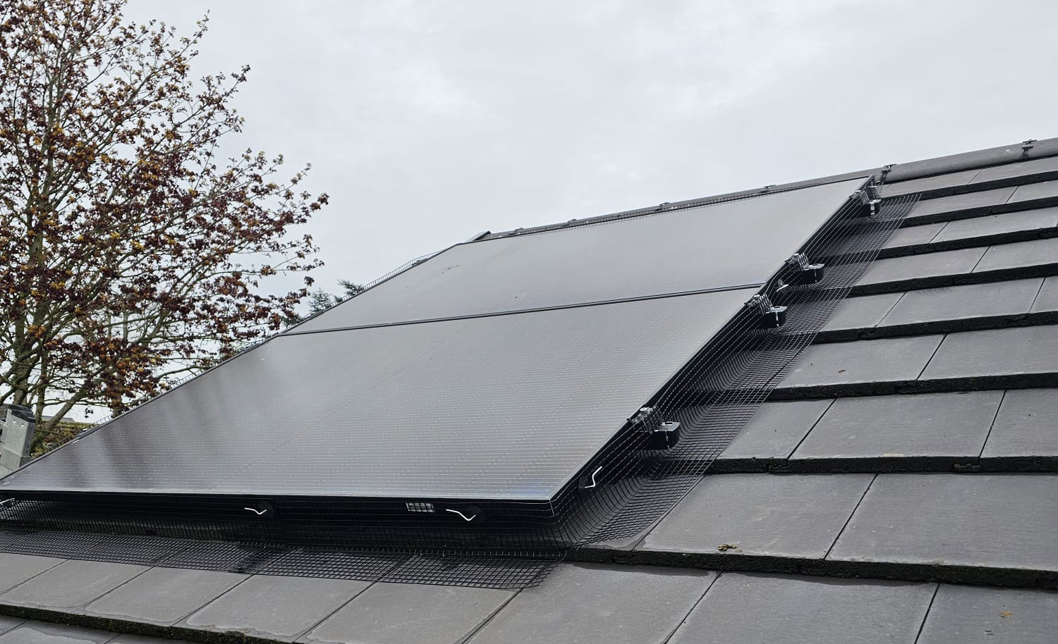 Protecting Solar Panels From Pigeons in Radcliffe-on-Trent