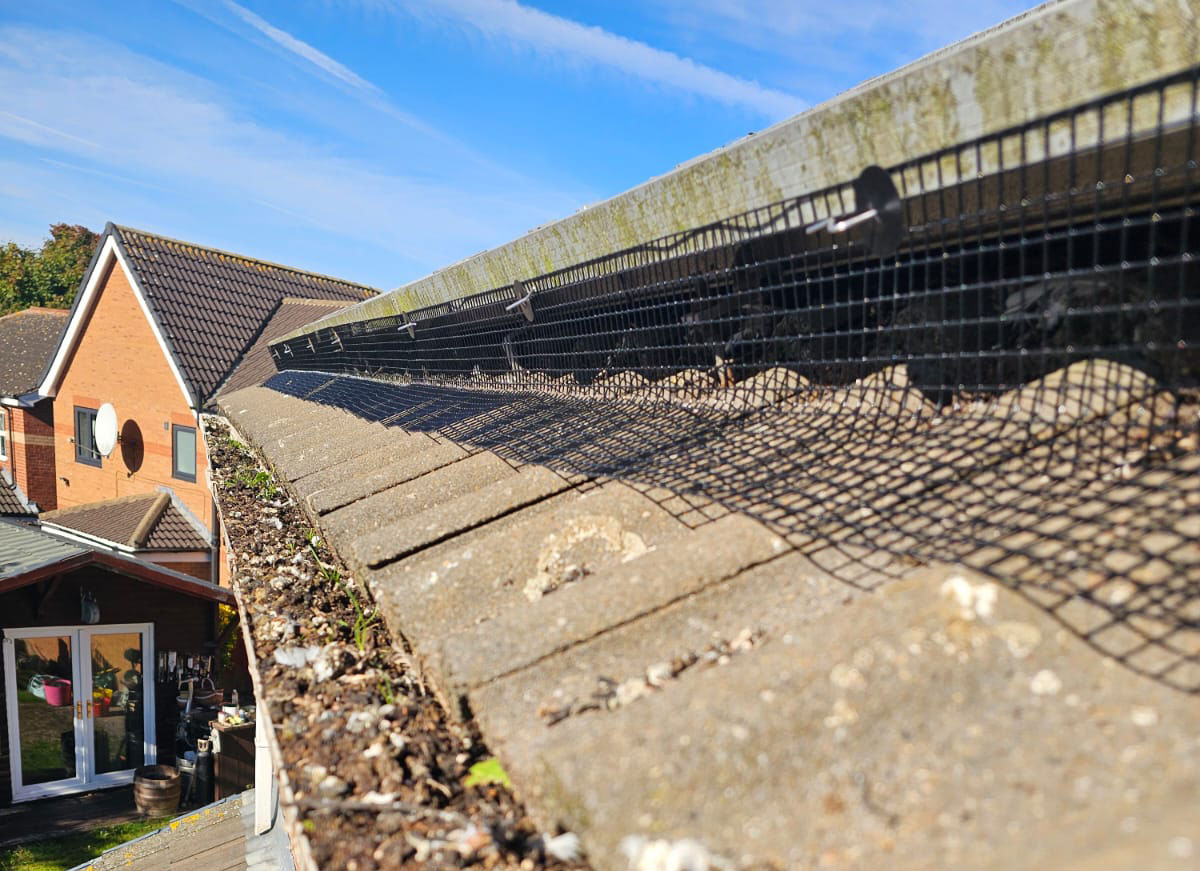 Protecting Solar Panels From Pigeons in Thurcroft
