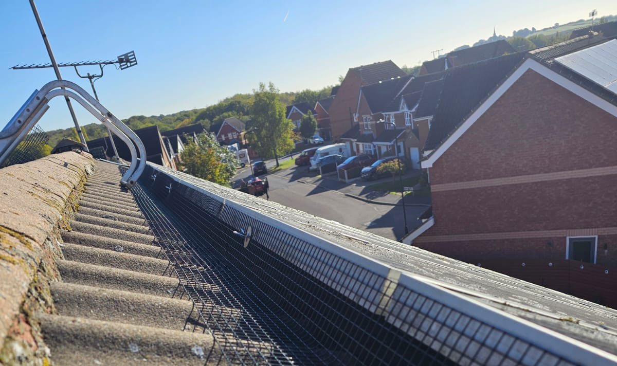 Protecting+Solar+Panels+From+Pigeons+in+Thurcroft