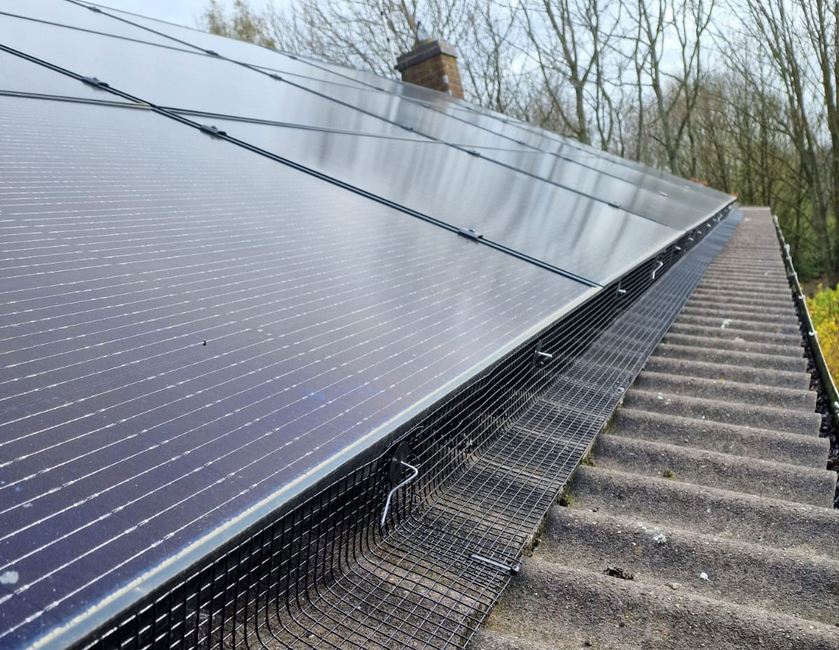 Protecting Solar Panels from Pigeons in Leicestershire