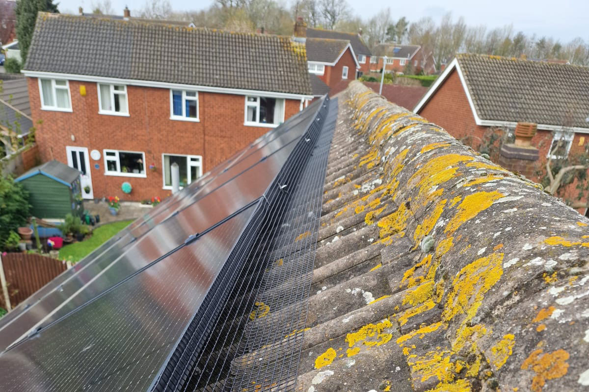 Protecting+Solar+Panels+from+Pigeons+in+Leicestershire
