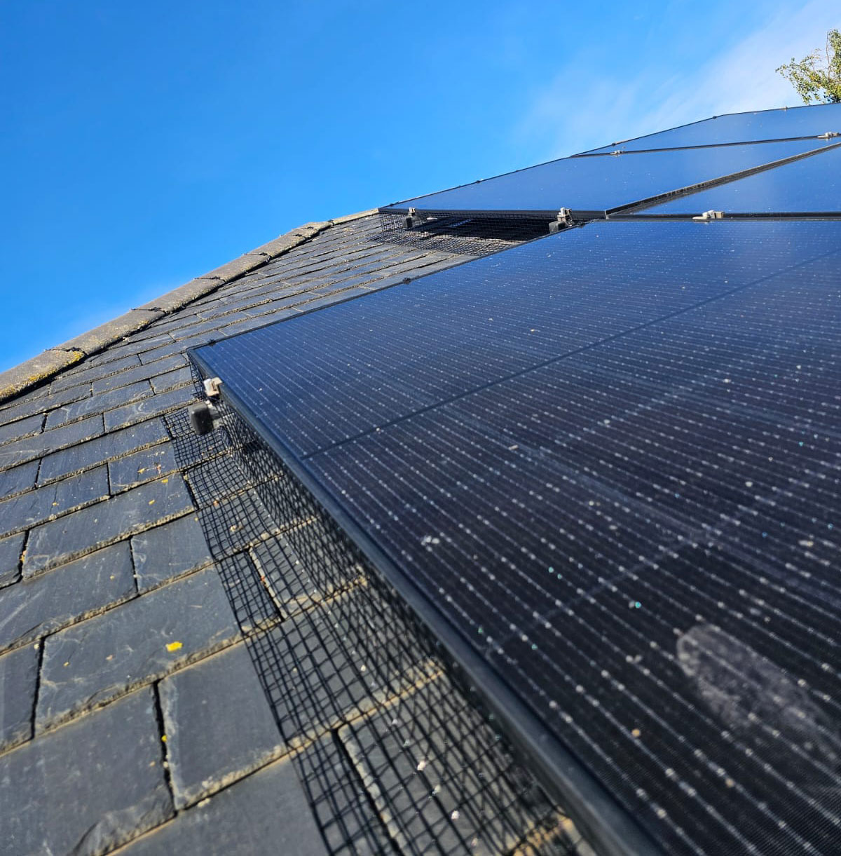 Preventing Pigeons From Nesting Under Solar Panels in Ruddington