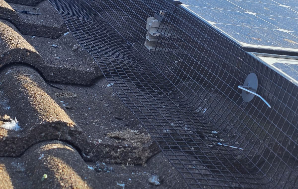 Protecting+Solar+Panels+From+Pigeons+in+Sandiacre