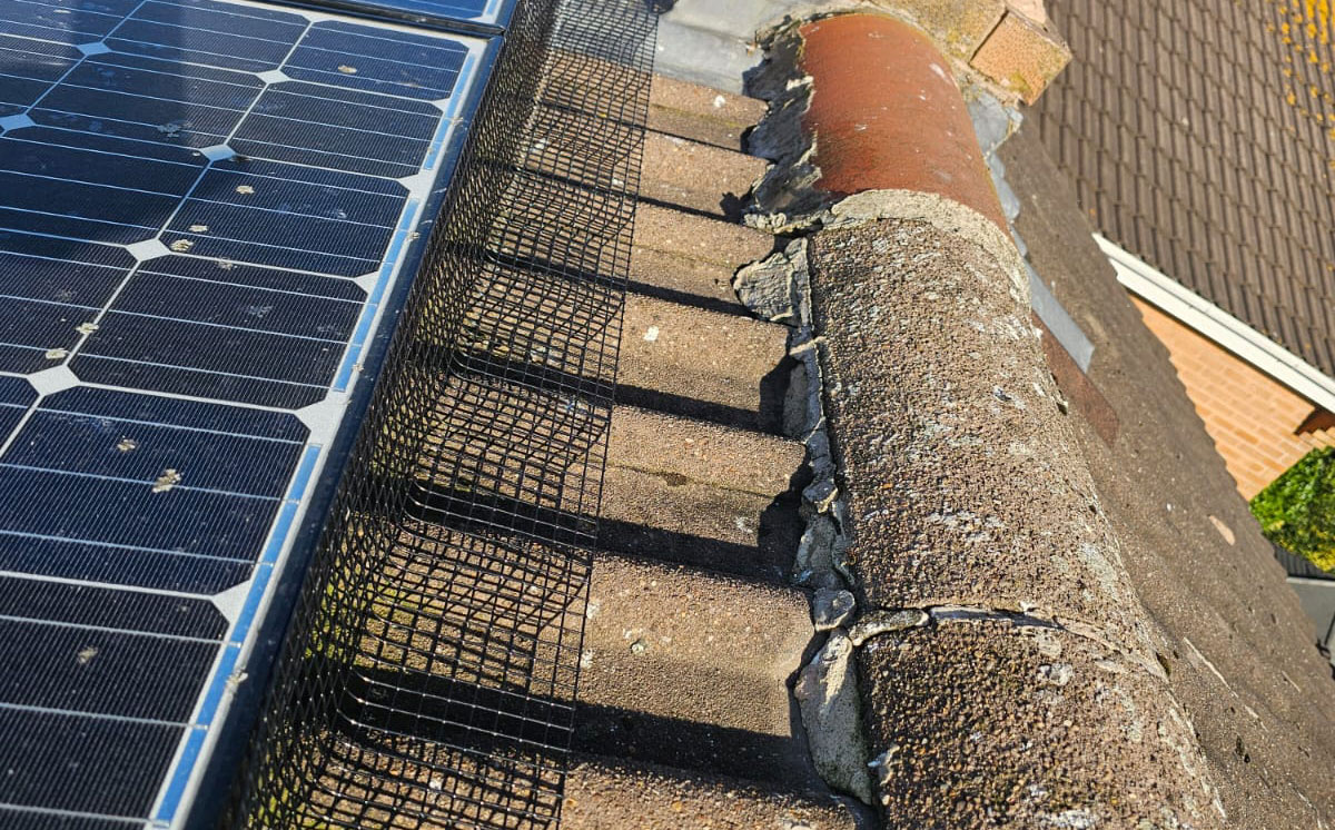 Protecting Solar Panels From Pigeons in Sandiacre