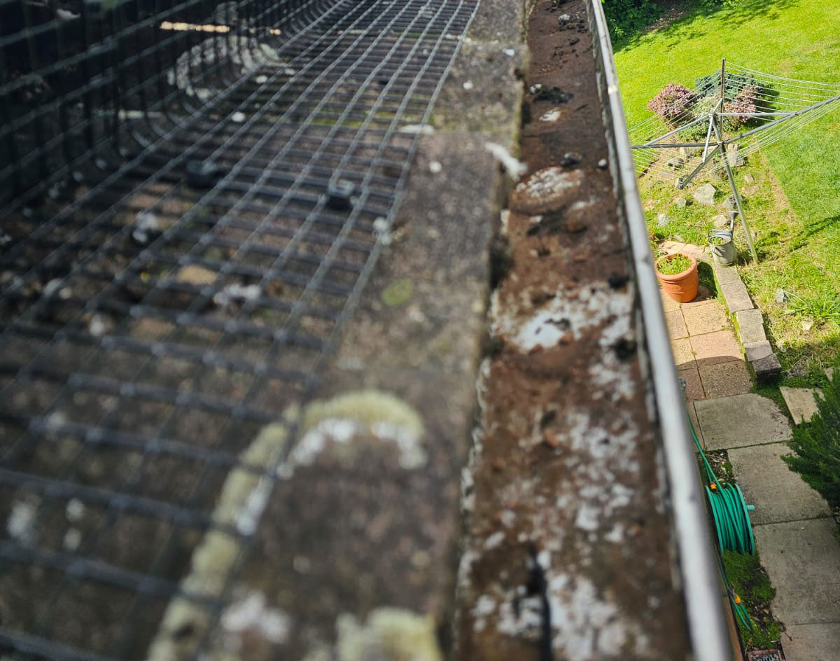 Preventing+Pigeons+From+Nesting+Under+Solar+Panels+in+Sandiacre