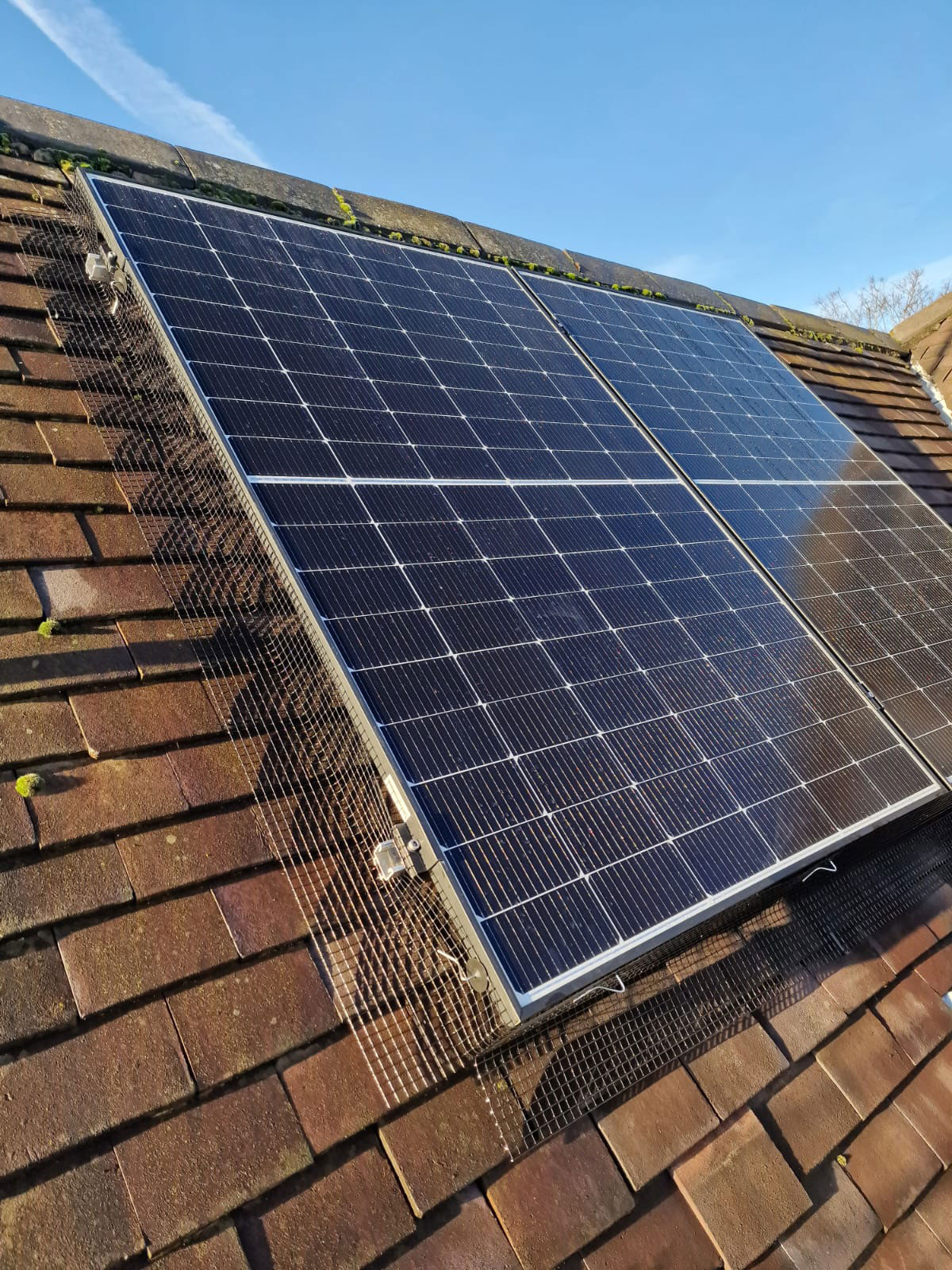 Pigeon+Proofing+Solar+Panels+in+Sherwood%2C+Nottingham