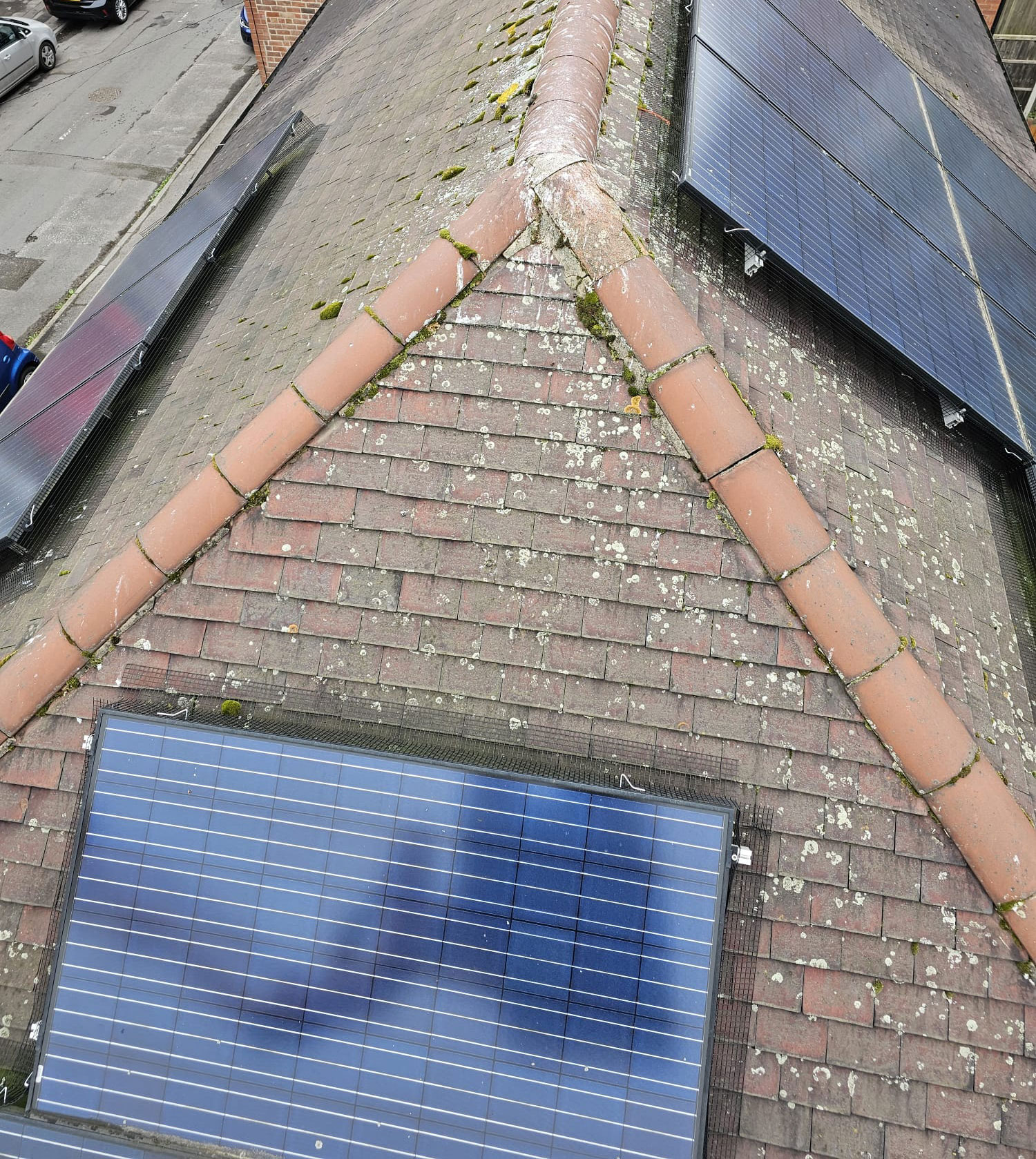 Protecting Solar Panels From Pigeons in Sherwood, Nottingham