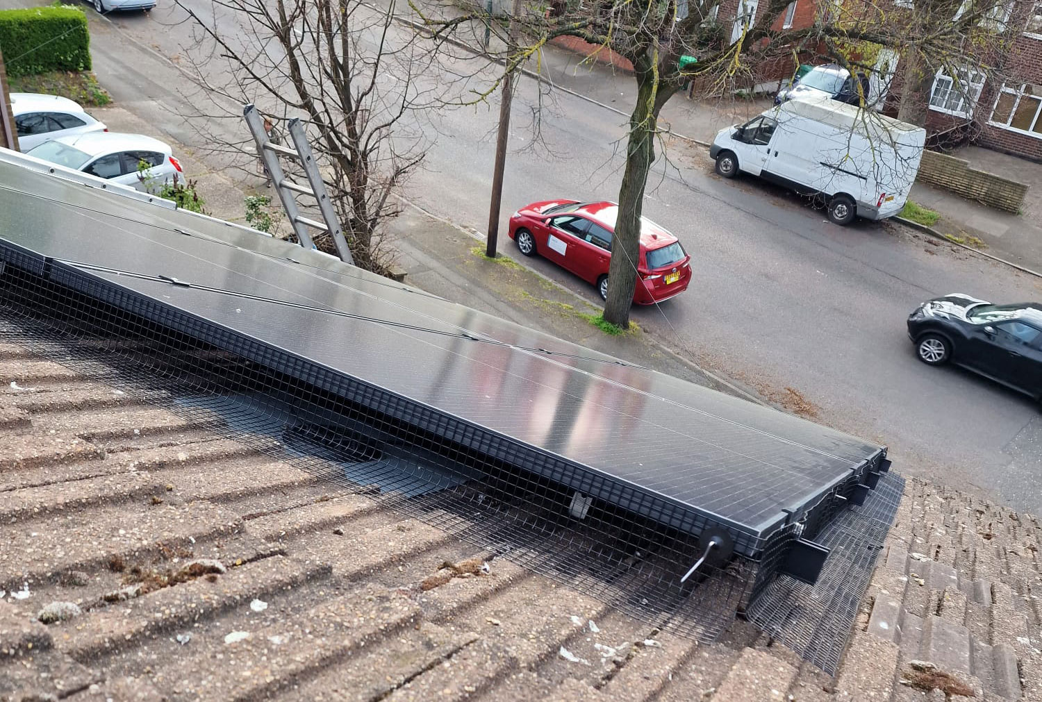 Pigeon+Proofing+Solar+Panels+in+Sherwood%2C+Nottingham