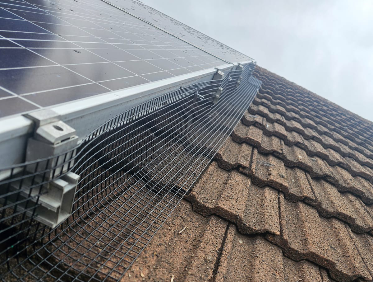 Preventing Pigeons From Nesting Under Solar Panels in Shirebrook