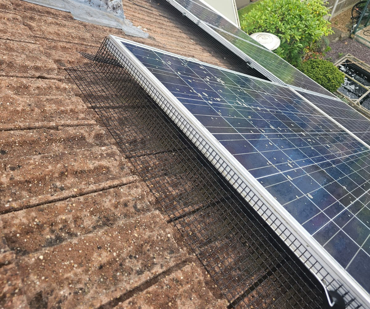 Preventing+Pigeons+From+Nesting+Under+Solar+Panels+in+Shirebrook