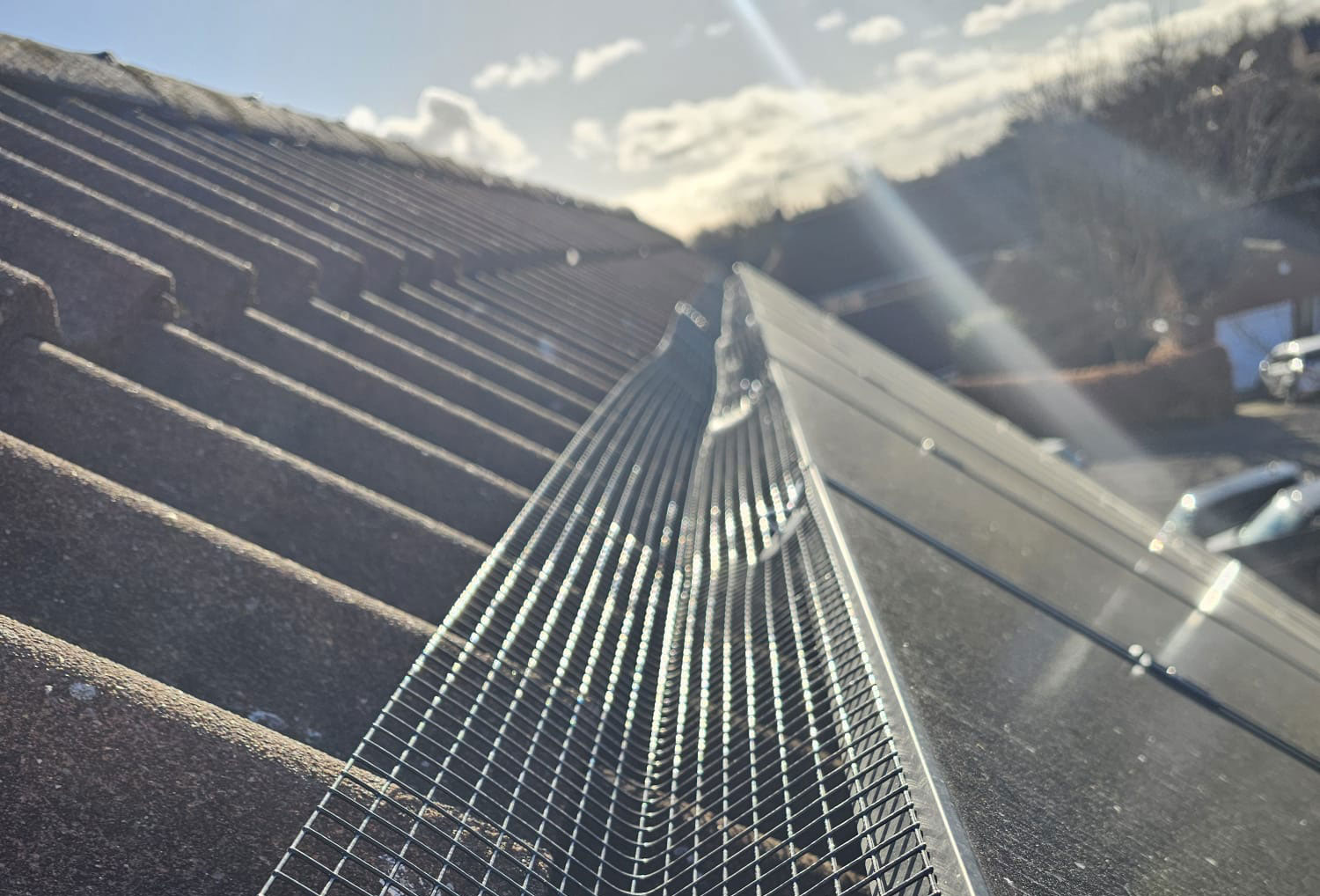 In Southwell to Install Protection from Pigeons on Solar Panels