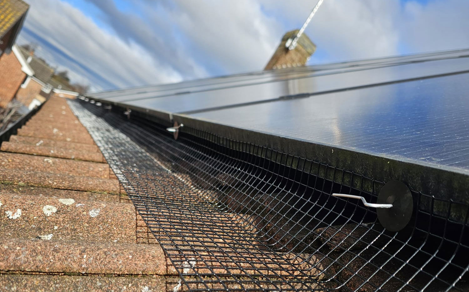 In Southwell to Install Protection from Pigeons on Solar Panels