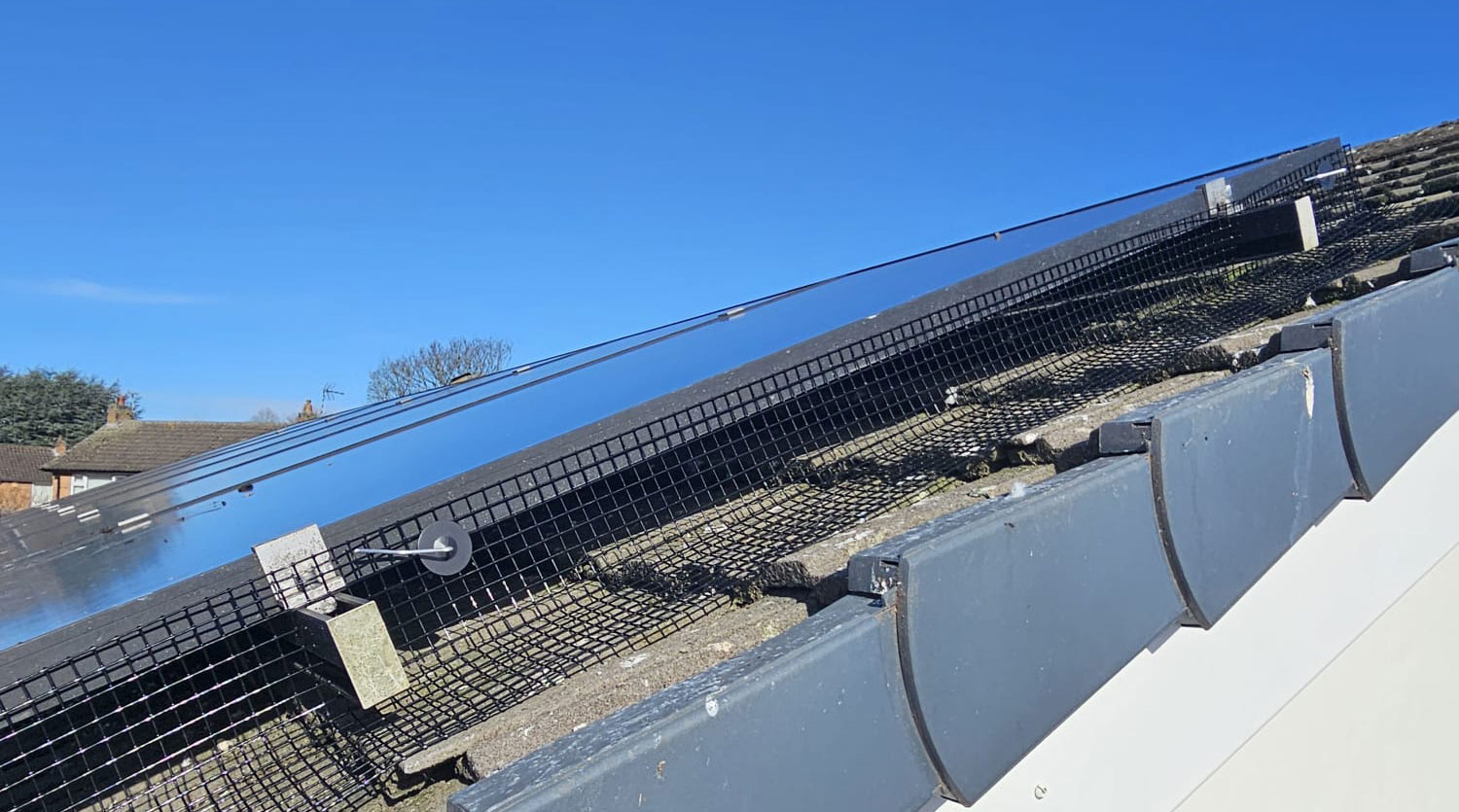 Pigeon+Proofing+Solar+Panels+in+Stapleford