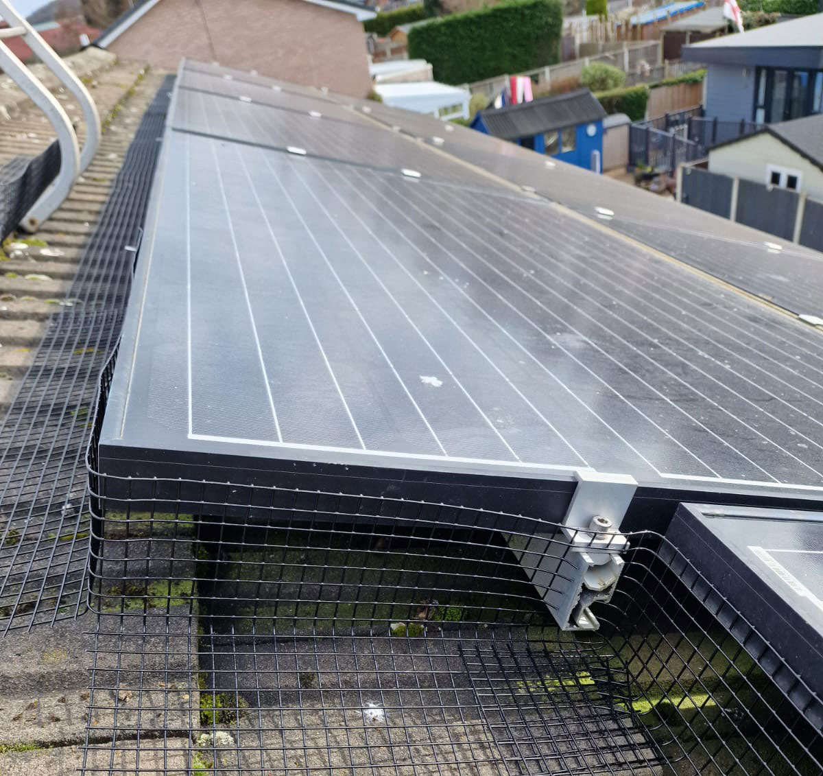 Protecting+Solar+Panels+from+Pigeons+in+Stapleford