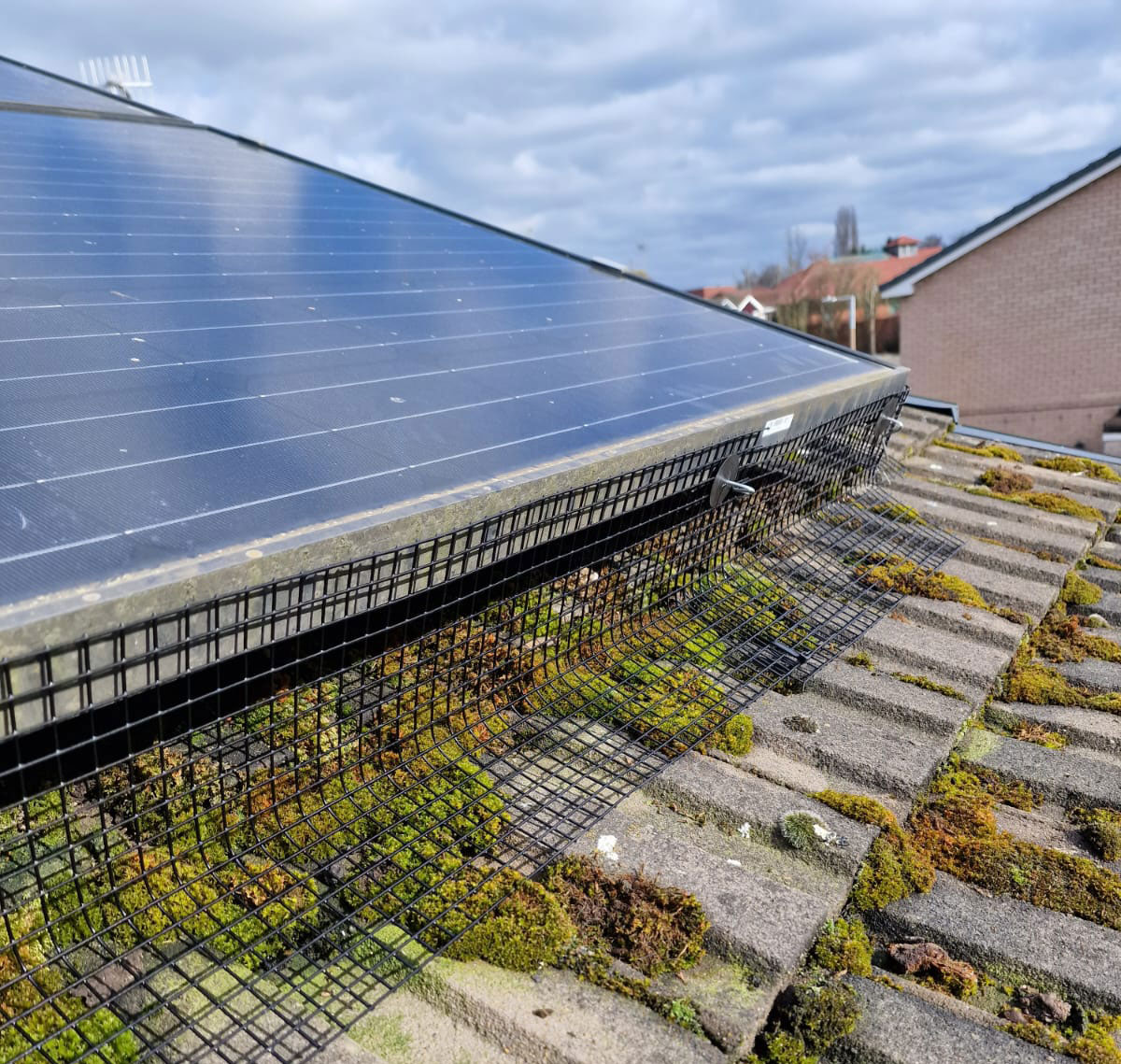 Protecting Solar Panels from Pigeons in Stapleford