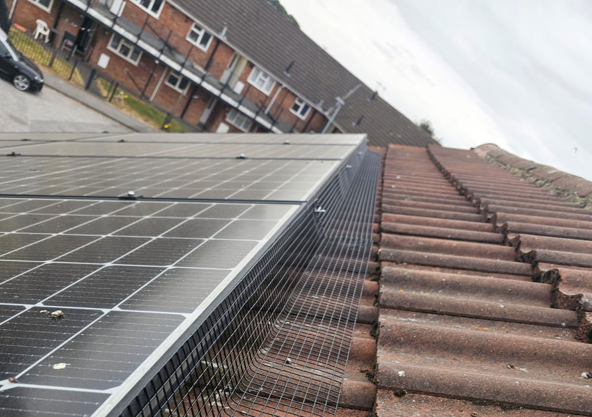 Protecting Solar Panels From Nesting Pigeons in Sutteon-in-Ashfield