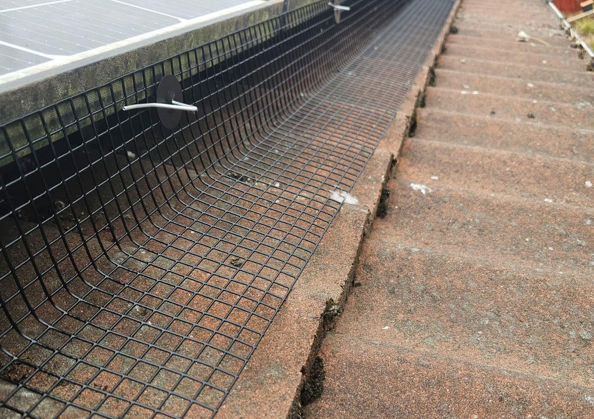 Protecting+Solar+Panels+From+Nesting+Pigeons+in+Sutteon-in-Ashfield