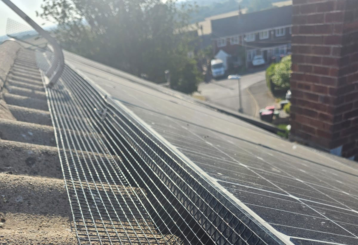 Pigeon+Proofing+Solar+Panels+in+Tamworth