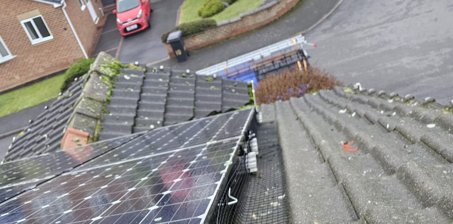 Protecting Solar Panels From Pigeons In Toton
