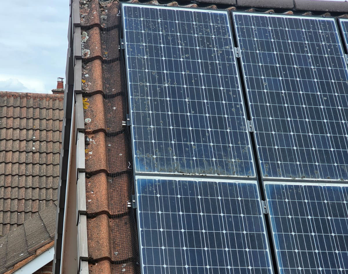 Preventing Pigeons From Nesting Under Solar Panels in Watnall
