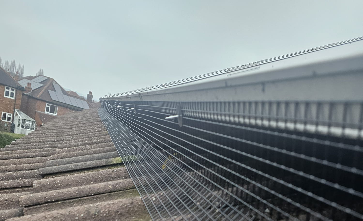 Pigeon+Proofing+Solar+Panels+in+West+Bridgford