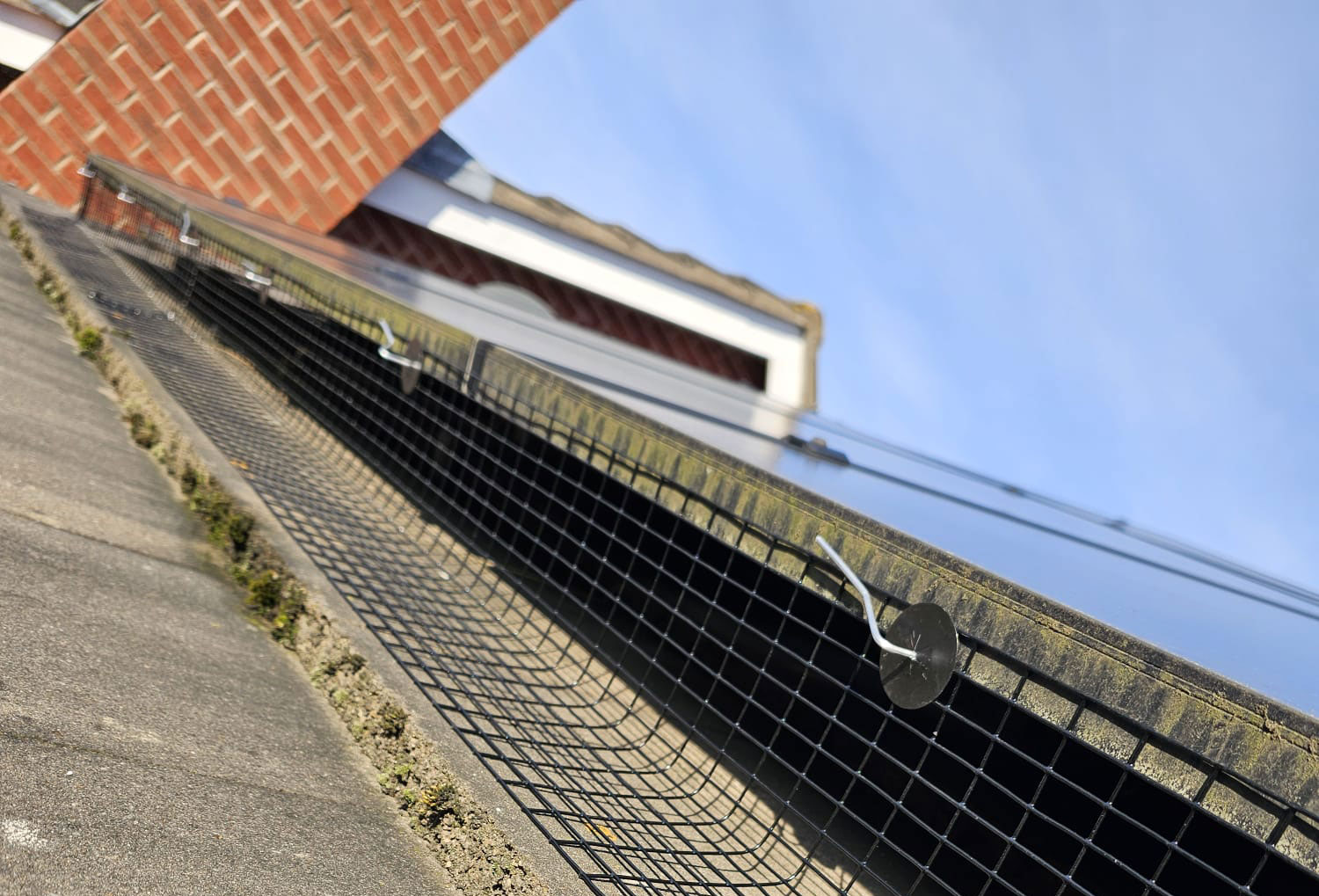 Protecting Solar Panels from Pigeons in West Bridgford