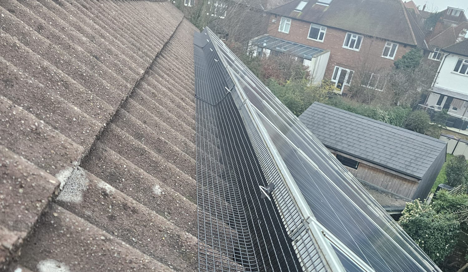 Pigeon Proofing Solar Panels in West Bridgford