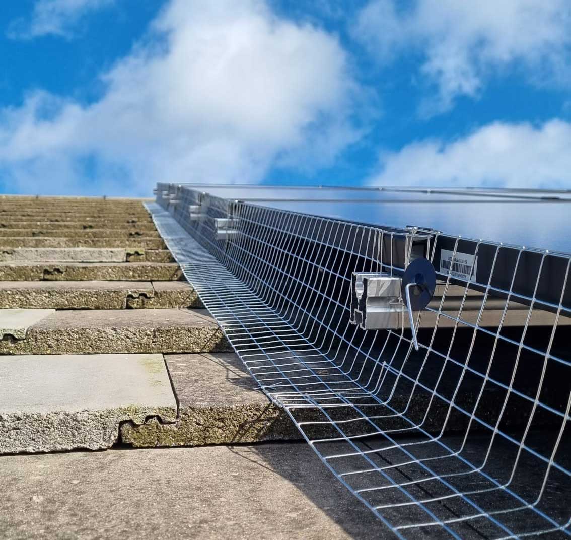 New Solar Panels Attract Pigeons