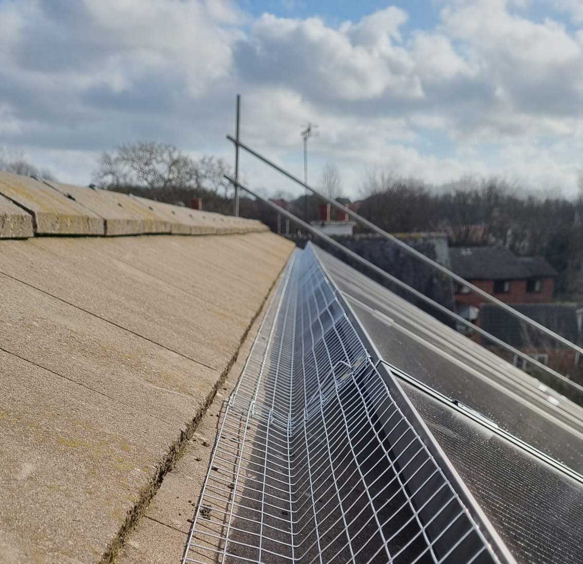 New+Solar+Panels+Attract+Pigeons