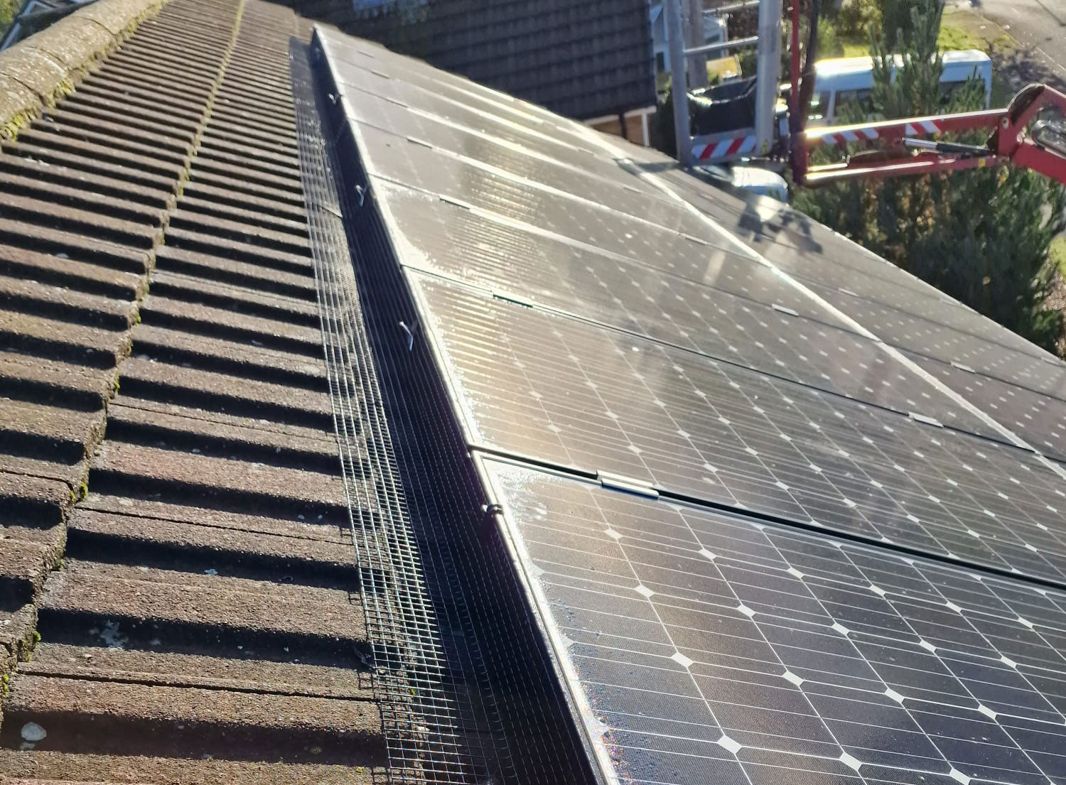 Pigeon Proofing Solar Panels in Mansfield