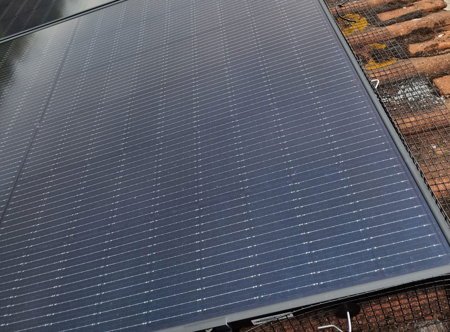 Solar+Panels+Protected+from+Pigeons+in+Mountsorrel