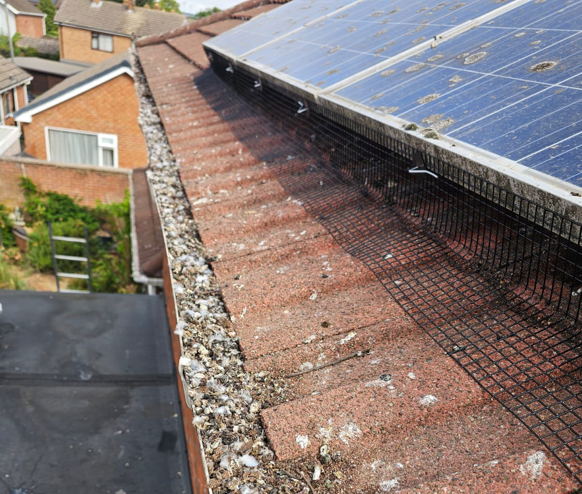 Bird+Proofing+Solar+Panels+in+Radcliffe-on-Trent