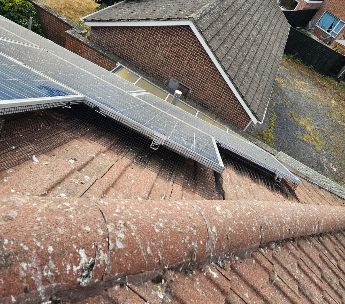 Bird Proofing Solar Panels in Radcliffe-on-Trent