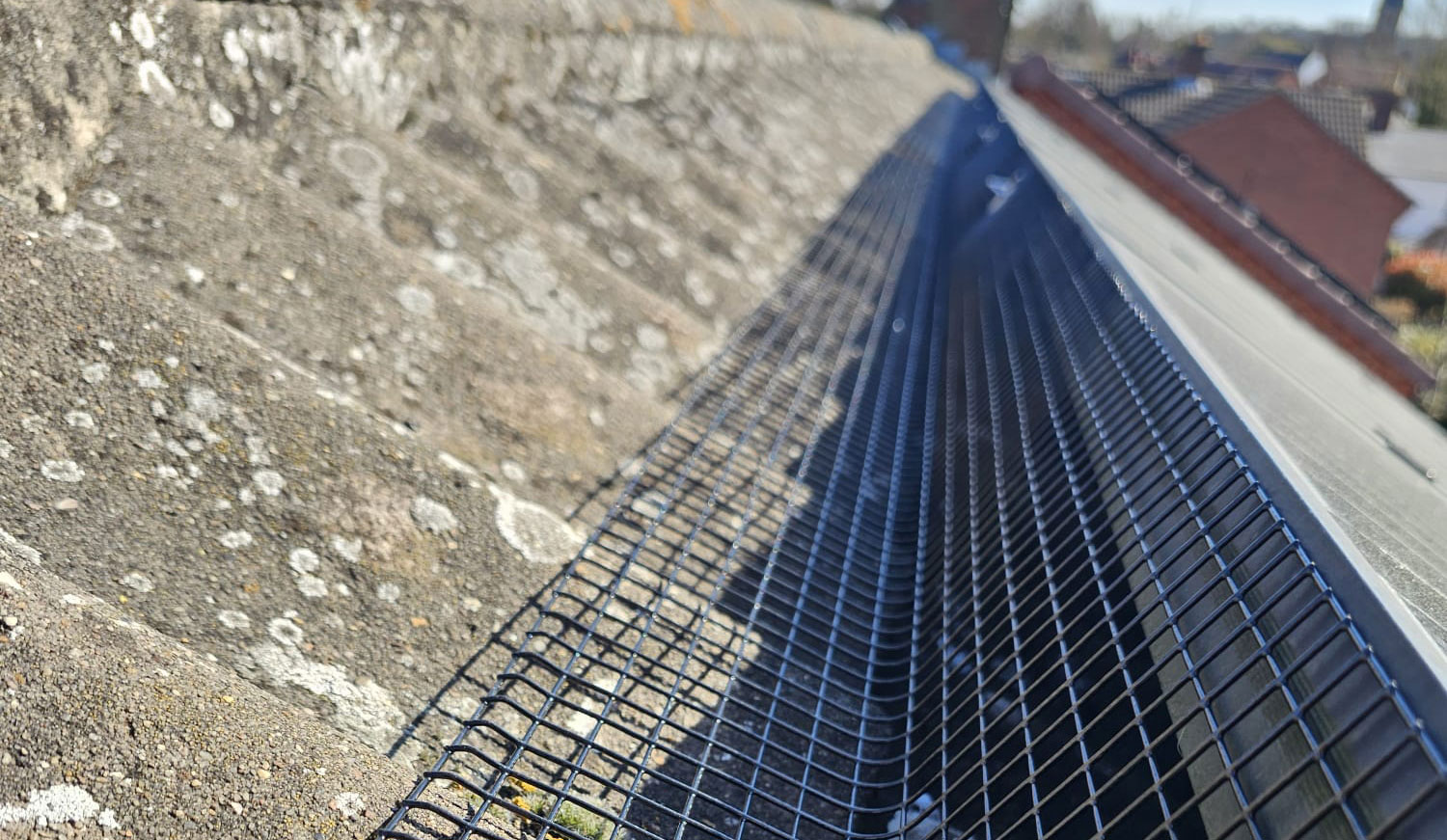 Double Pigeon Trouble in Radcliffe-on-Trent