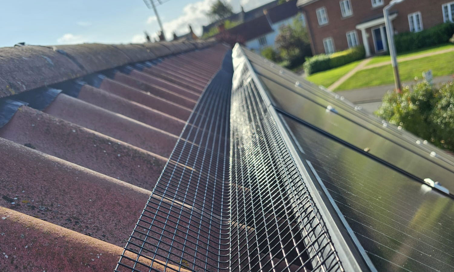 Protecting Solar Panels From Pigeons in Radcliffe on Trent