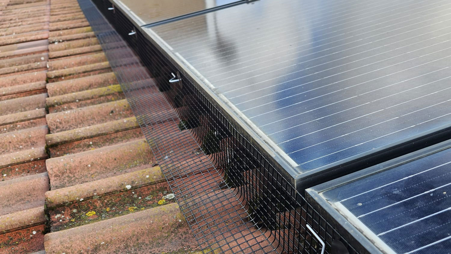 Protecting Solar Panels From Pigeons in Radcliffe on Trent