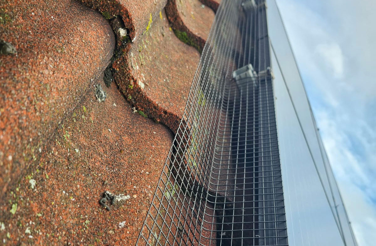 Protecting Solar Panels From Pigeons in Retford