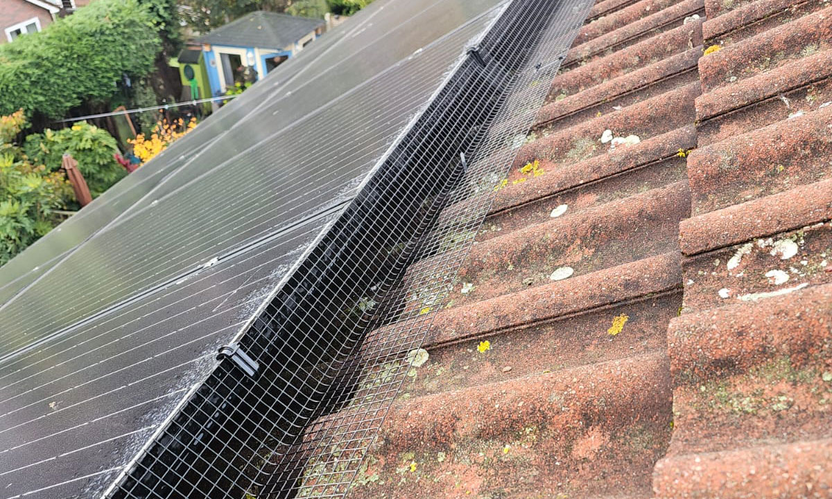 Protecting Solar Panels From Pigeons in Retford